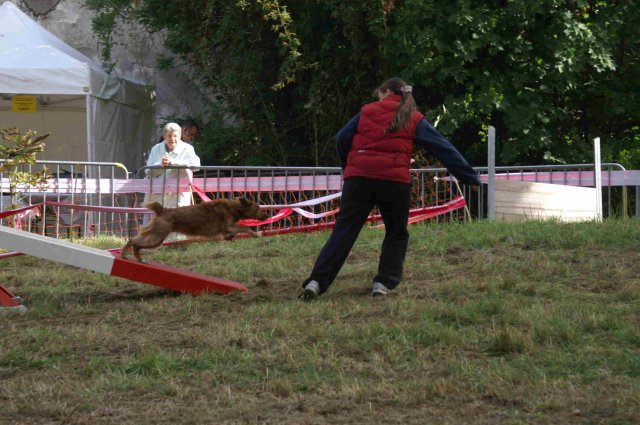 foire-haricots 2011-09-17et18
